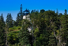 Eagle Island Light Surrounded by Evergreen Trees in Maine